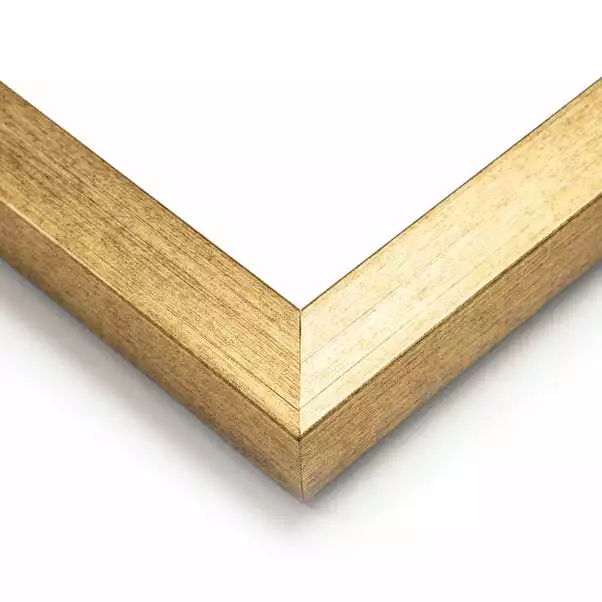 Dunelm Parrot King I Framed Print 3 Dunelm Parrot King I Framed Print - Image 3