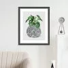 The Art Group Chinese Money Plant Framed Print