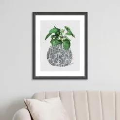 The Art Group Chinese Money Plant Framed Print -VibeAura Shop 30808947 alt03