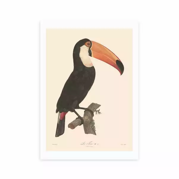 East End Prints Toucan Print 2 East End Prints Toucan Print - Image 2