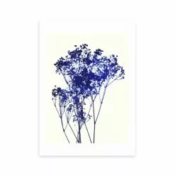 East End Prints Baby's Breath Print