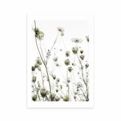 East End Prints Flutterby Print