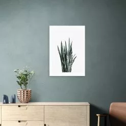 East End Prints Succulent Set 1 Print